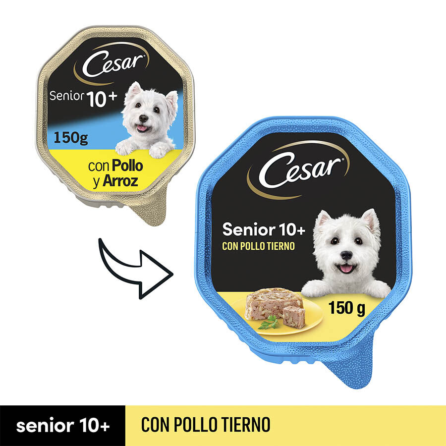 28 tarrinas x 150 g (20 + 8 tarrinas &iexcl;gratis!) Cesar Pollo y Arroz Tarrina en Gelatina para Perros Senior, , large Imagen numero 2
